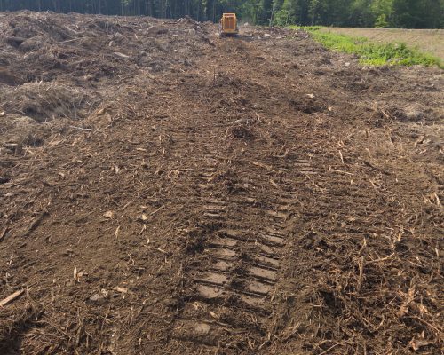 Travaux de broyage forestier